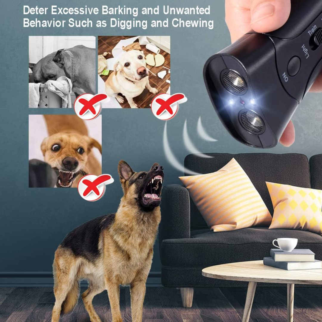 Dog Training Device