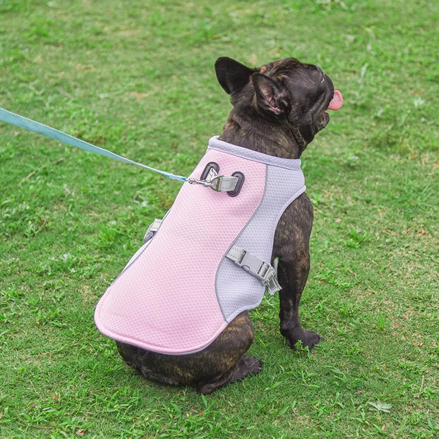 Cooling Dog Vest